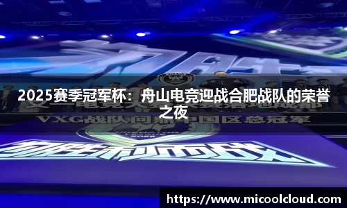 2025赛季冠军杯：舟山电竞迎战合肥战队的荣誉之夜